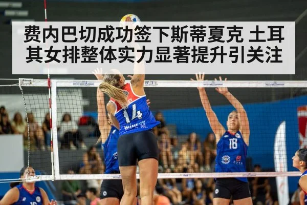volleyball match action