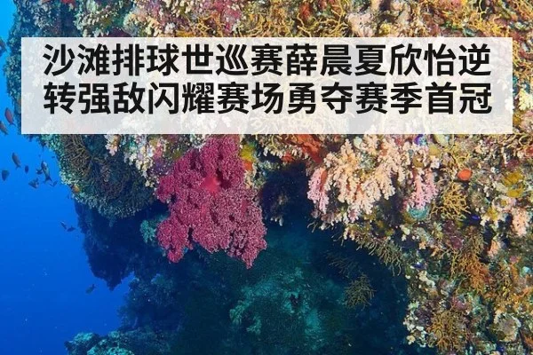 沙滩排球世巡赛薛晨夏欣怡逆转强敌闪耀赛场勇夺赛季首冠